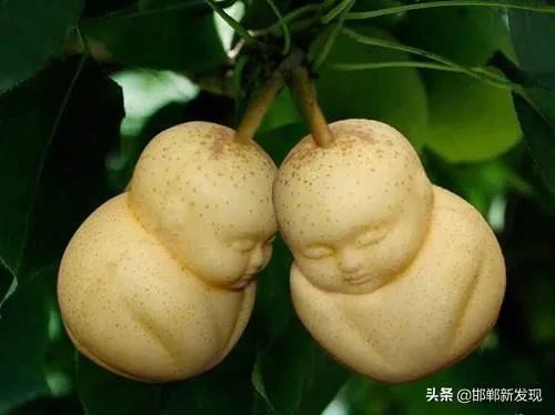 邯郸市有什么特产？