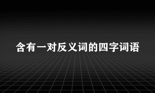 含有一对反义词的四字词语
