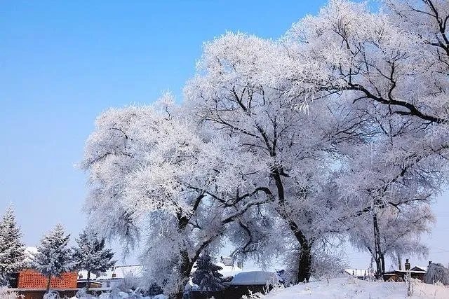 秋风冷雨夜，一夜冷一夜。如何对下联？