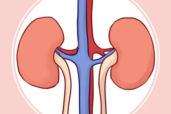 肾衰竭的早期症状表现