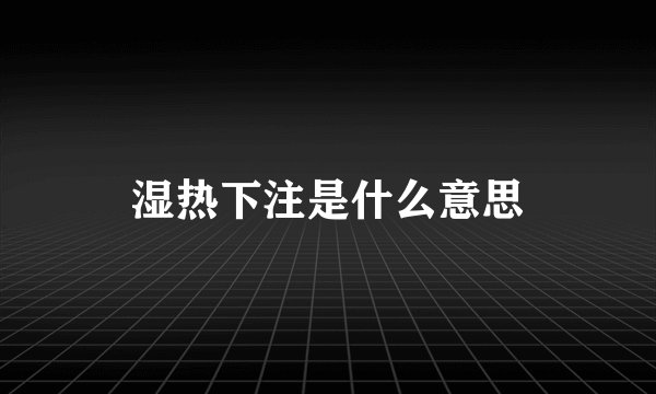 湿热下注是什么意思