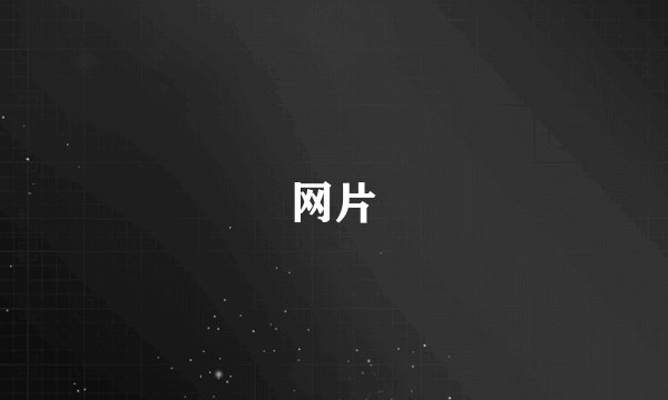 网片
