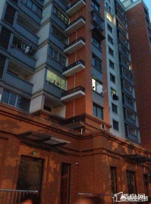 广州一女子被高空掉落的狗砸成重伤你怎么看?