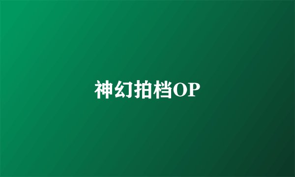 神幻拍档OP