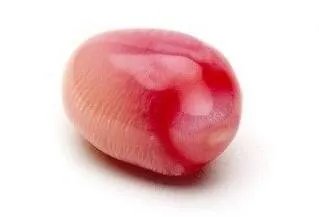 海螺珠是什么？和珍珠有什么区别？