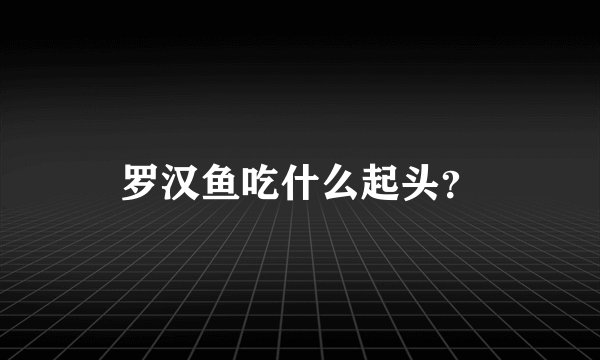 罗汉鱼吃什么起头？