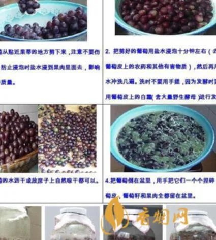 葡萄原酒是什么？了解一下！