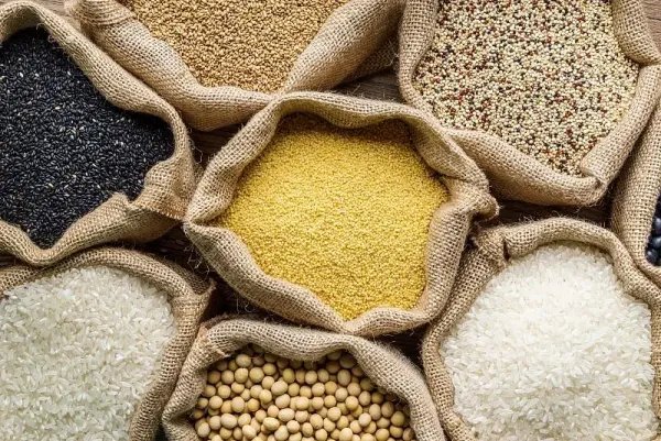 我国夏粮收购超3千万吨，我国作为第一农业大国，为何还要从国外进口粮食？