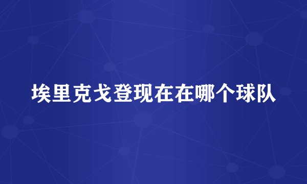 埃里克戈登现在在哪个球队