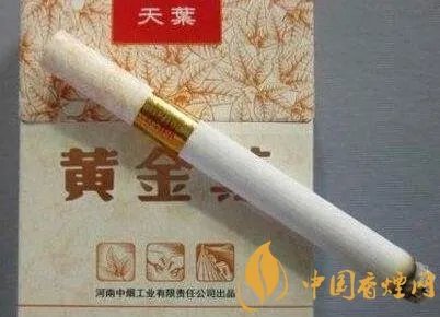 黄金叶大小天叶区别 3处辨别黄金叶大天叶与小天叶【图解】