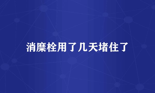 消糜栓用了几天堵住了