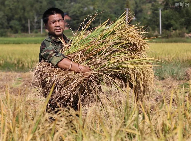 中国粮食储备够吃几年 看完内容你就清楚了