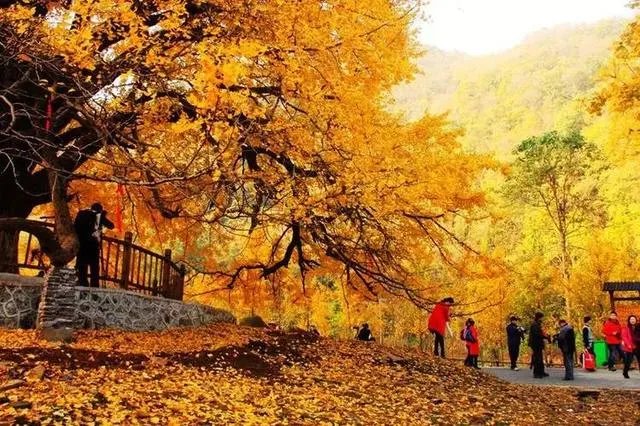 随州有哪些著名的旅游景点？