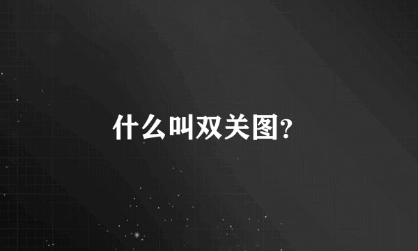 什么叫双关图？