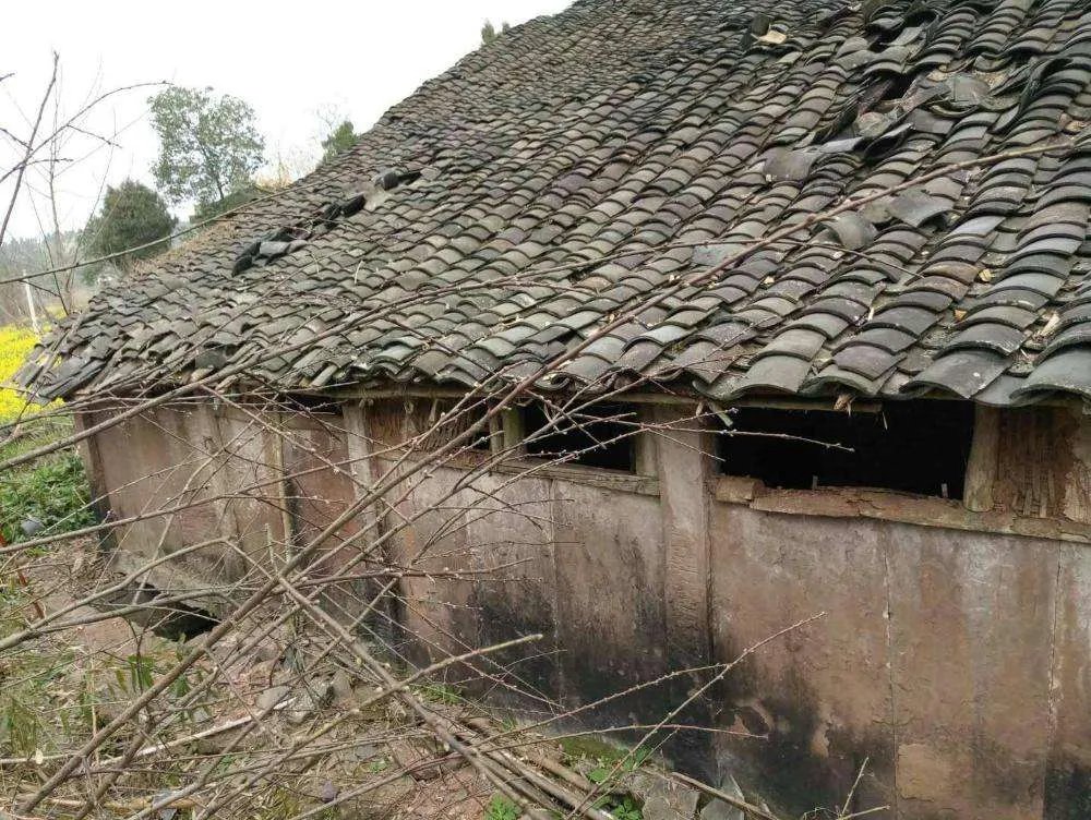 危房鉴定流程是什么