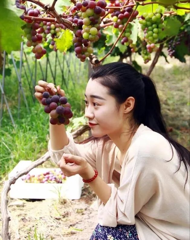 邯郸市有什么特产？