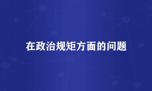 在政治规矩方面的问题