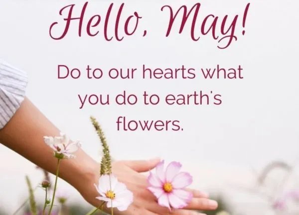 may是什么意思？