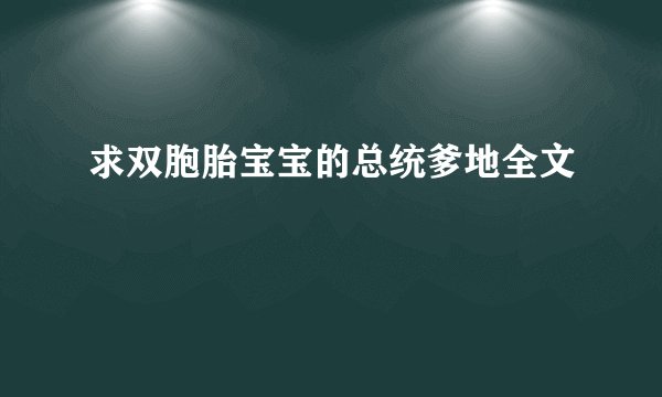 求双胞胎宝宝的总统爹地全文