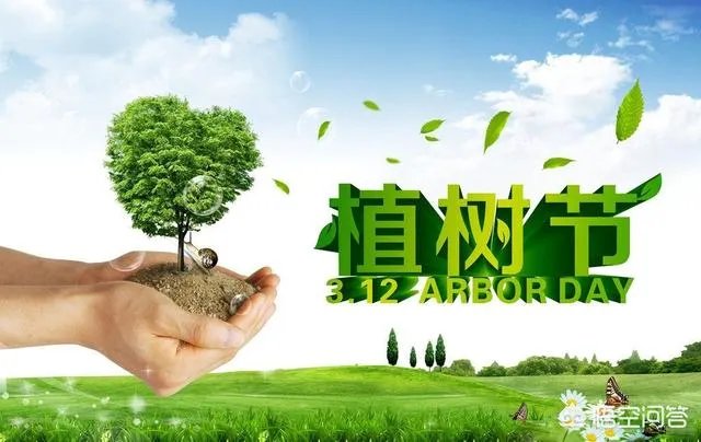 植树节是几月几日？