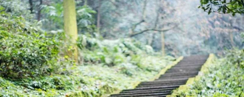 峨眉山在哪里 峨眉山在哪里哪个城市