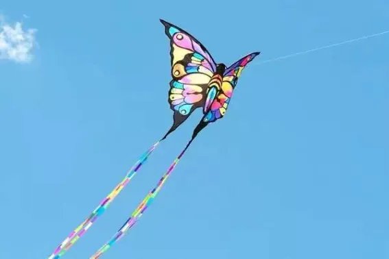 kites是什么意思