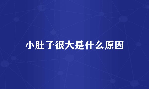 小肚子很大是什么原因