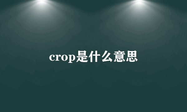 crop是什么意思