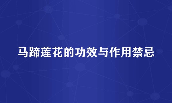 马蹄莲花的功效与作用禁忌
