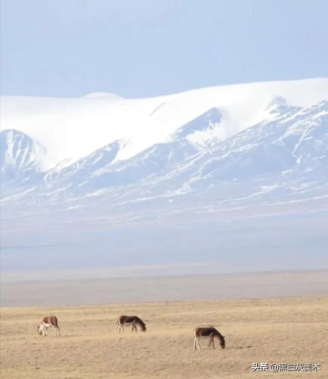 去西藏有什么意义