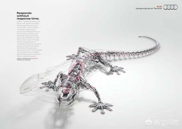 什么是奥迪quattro？
