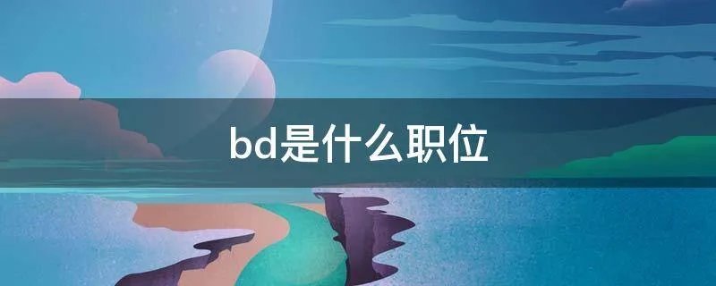bd是什么职位