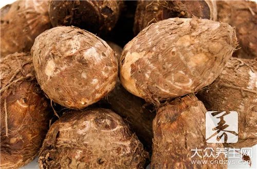 魔芋的功效与作用禁忌