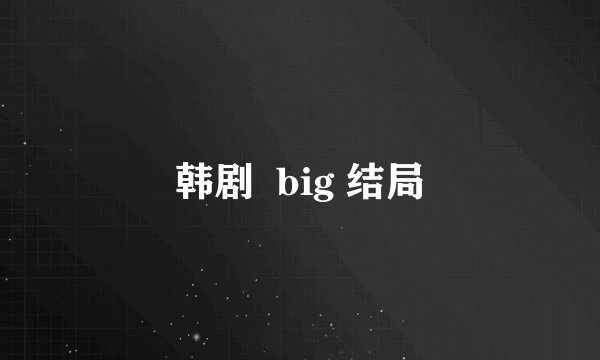 韩剧  big 结局