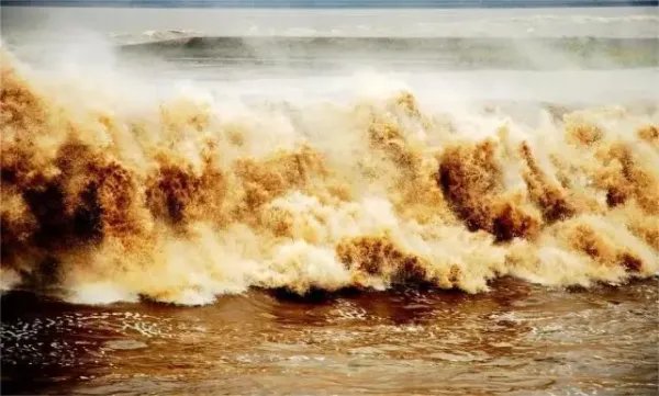 钱塘江边闪现壮观“参天大树”,这是怎样的壮观景象?