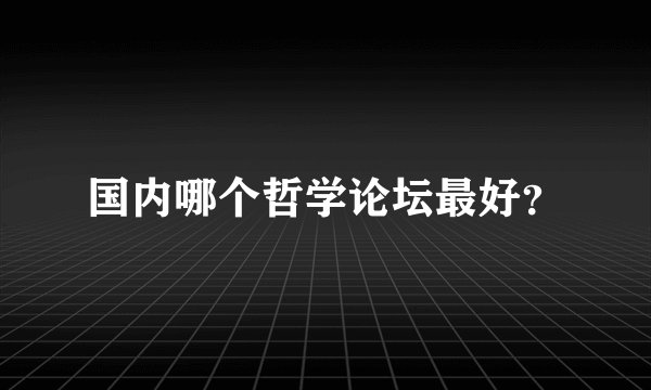 国内哪个哲学论坛最好？