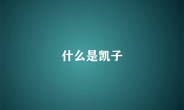 什么是凯子