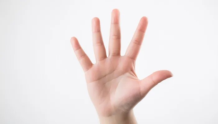 断掌是什么意思 女人手断掌是什么意思