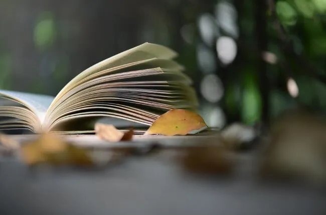 读书的好处优美句子 赞美读书有益的句子