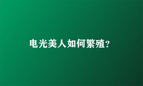 电光美人如何繁殖？