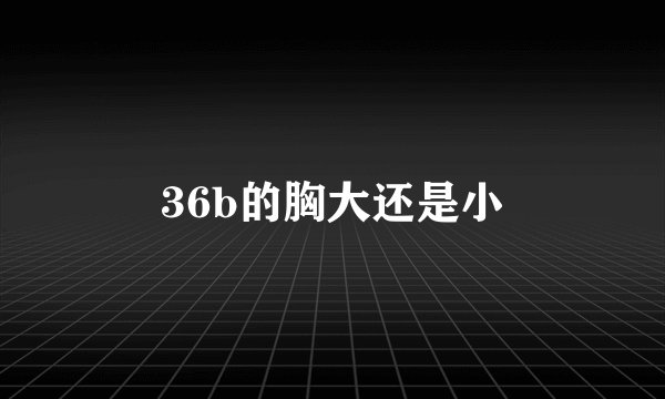 36b的胸大还是小