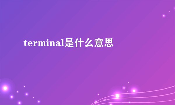 terminal是什么意思
