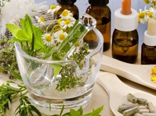 洋甘菊的作用有哪些