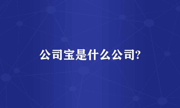 公司宝是什么公司?