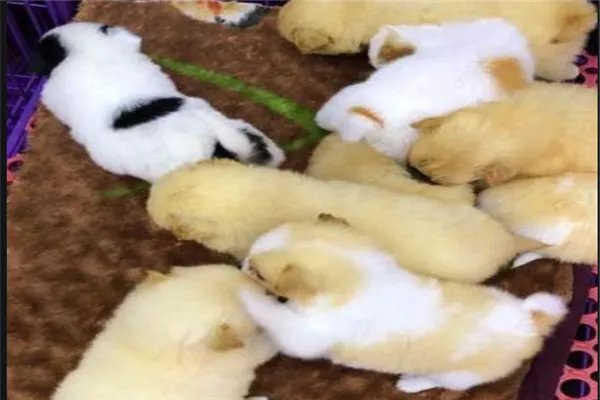 包头十大购物中心排行榜：万达广场上榜，老鼠街第一