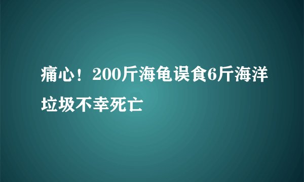 痛心！200斤海龟误食6斤海洋垃圾不幸死亡