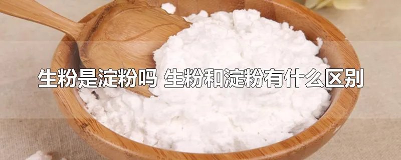 生粉是淀粉吗 生粉和淀粉有什么区别
