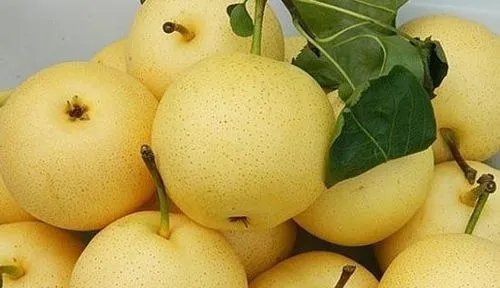 春分适合吃什么食物？