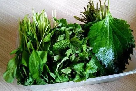 薄荷叶怎么吃？薄荷叶的吃法