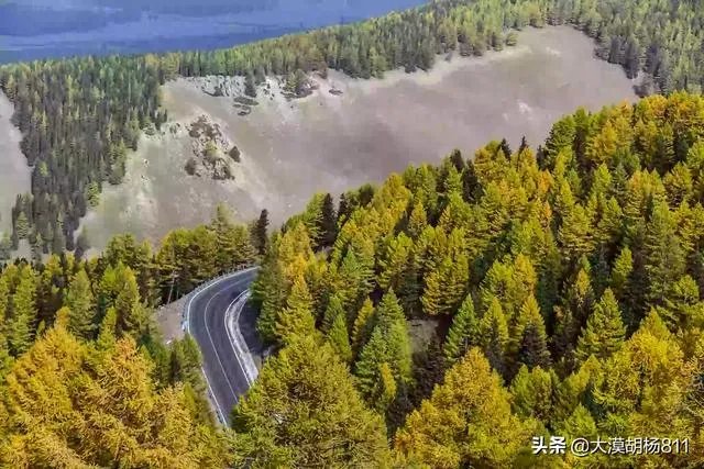 家用数码相机什么牌子好？